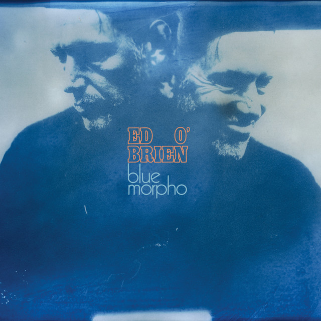 Blue Morpho - Album by Ed O'Brien | Spotify