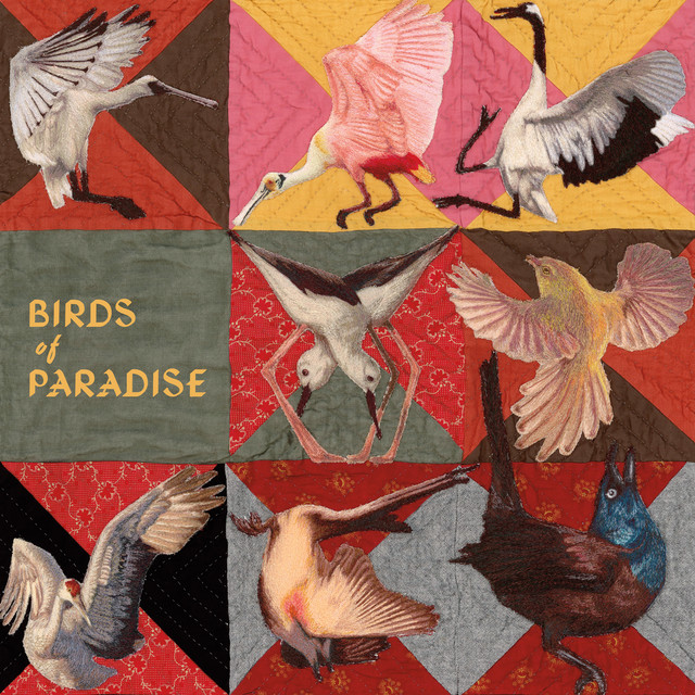Birds of Paradise - Album by Thomas Dollbaum | Spotify