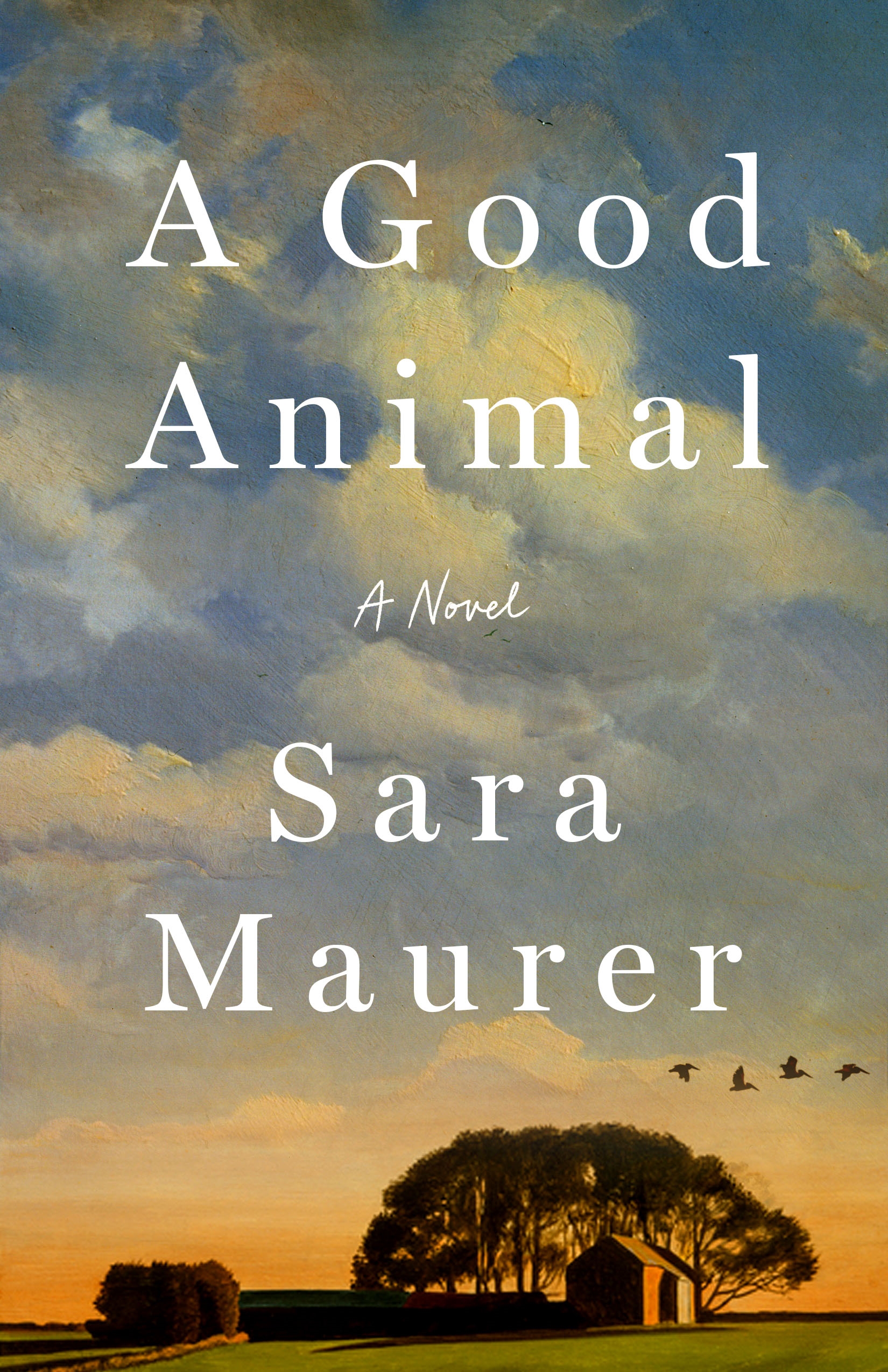 A Good Animal