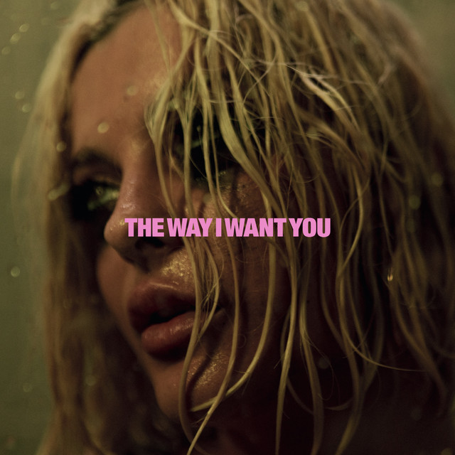 The Way I Want You - Single by Bebe Rexha | Spotify