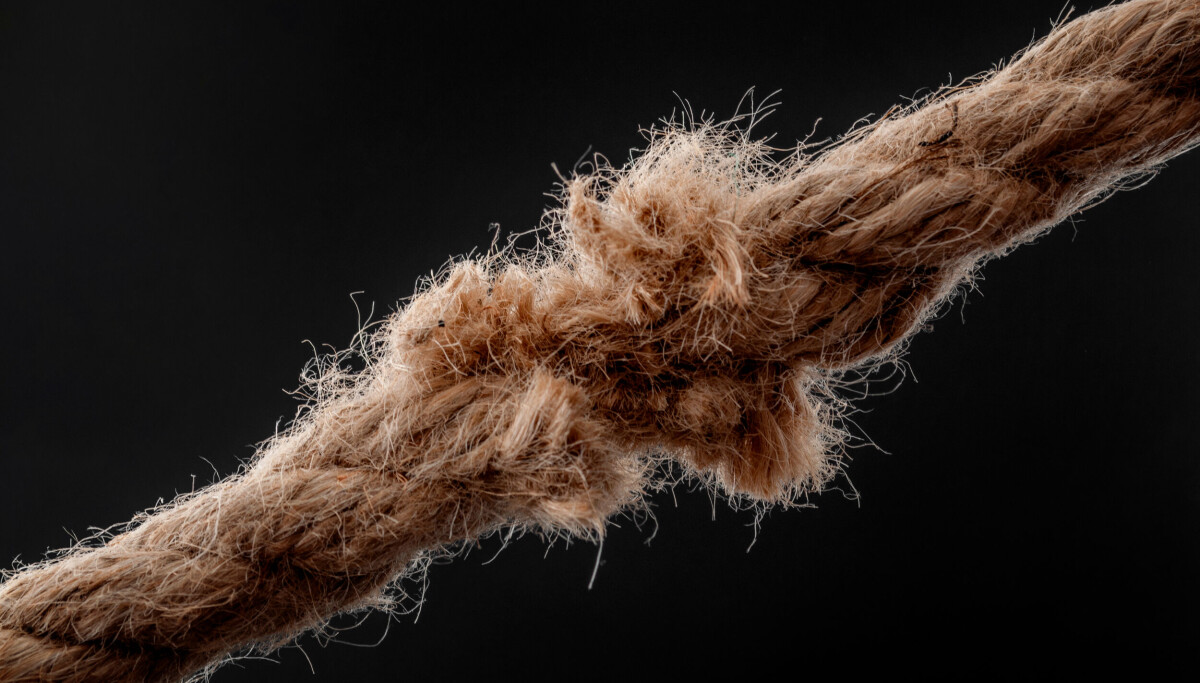 Most generative AI and custom model projects will be a bust: Gartner