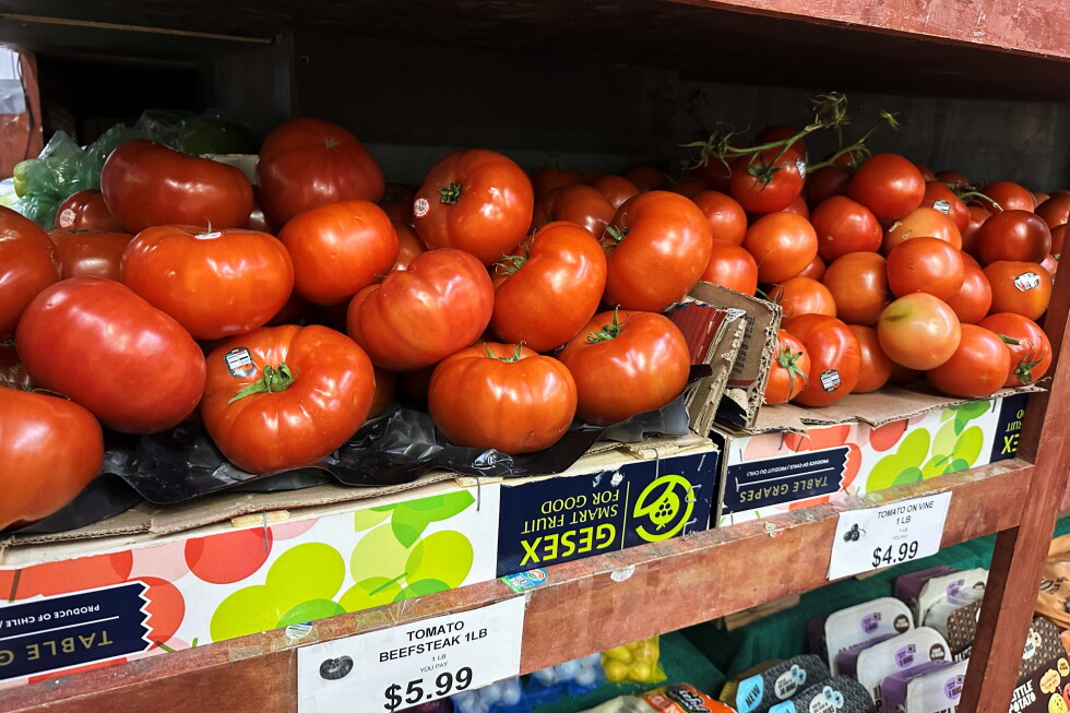Tomatoes become latest symbol of America’s affordability squeeze | AP News