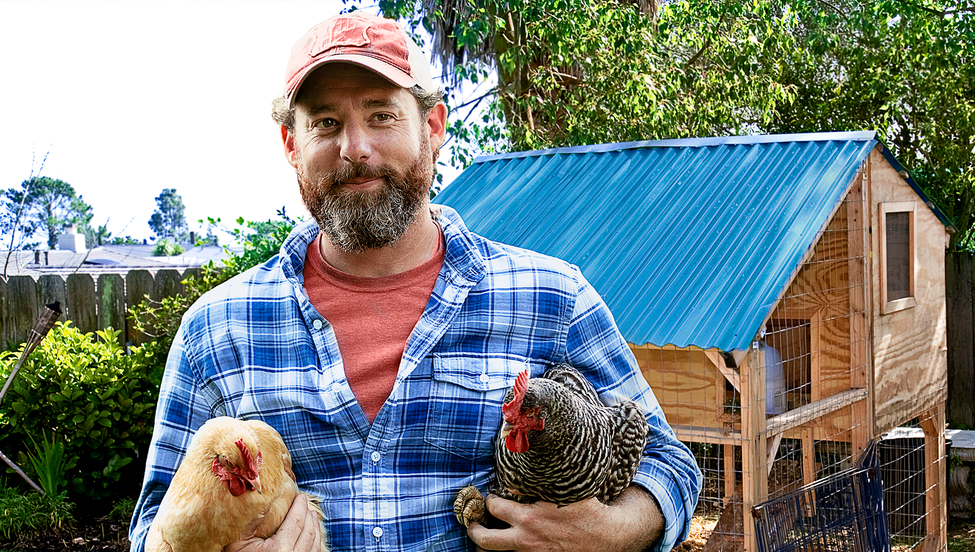 Dumbest Friend Just Bought 20 Chickens