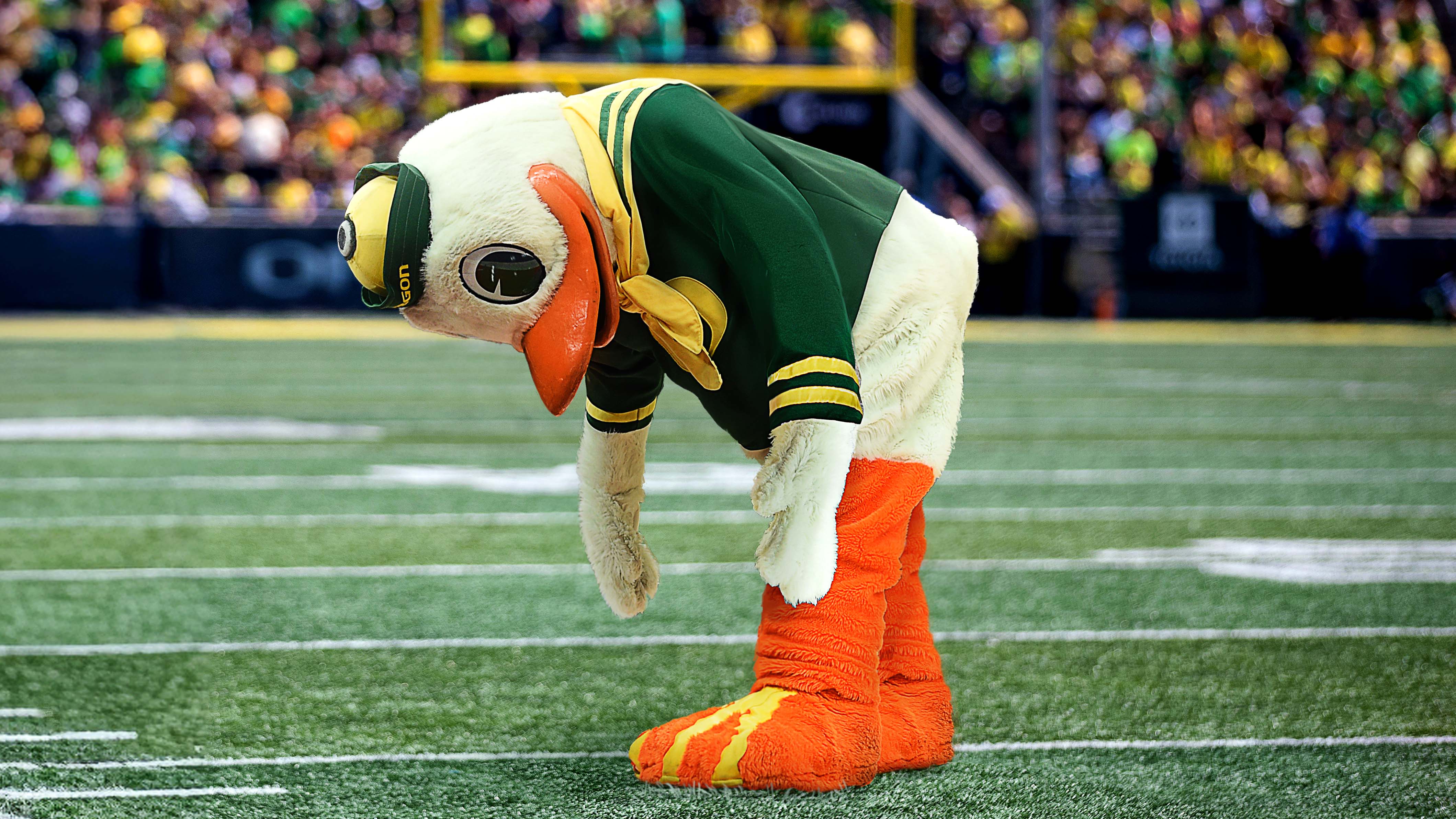 Mascot Doing Fentanyl Fold