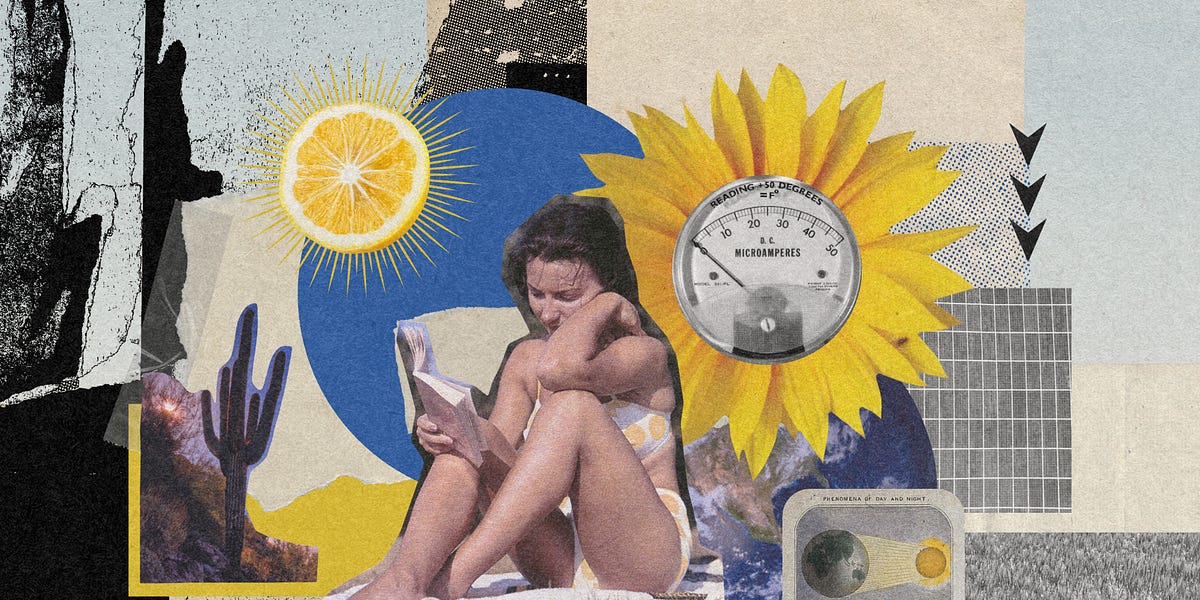 The Sunlight Budget of Earth
