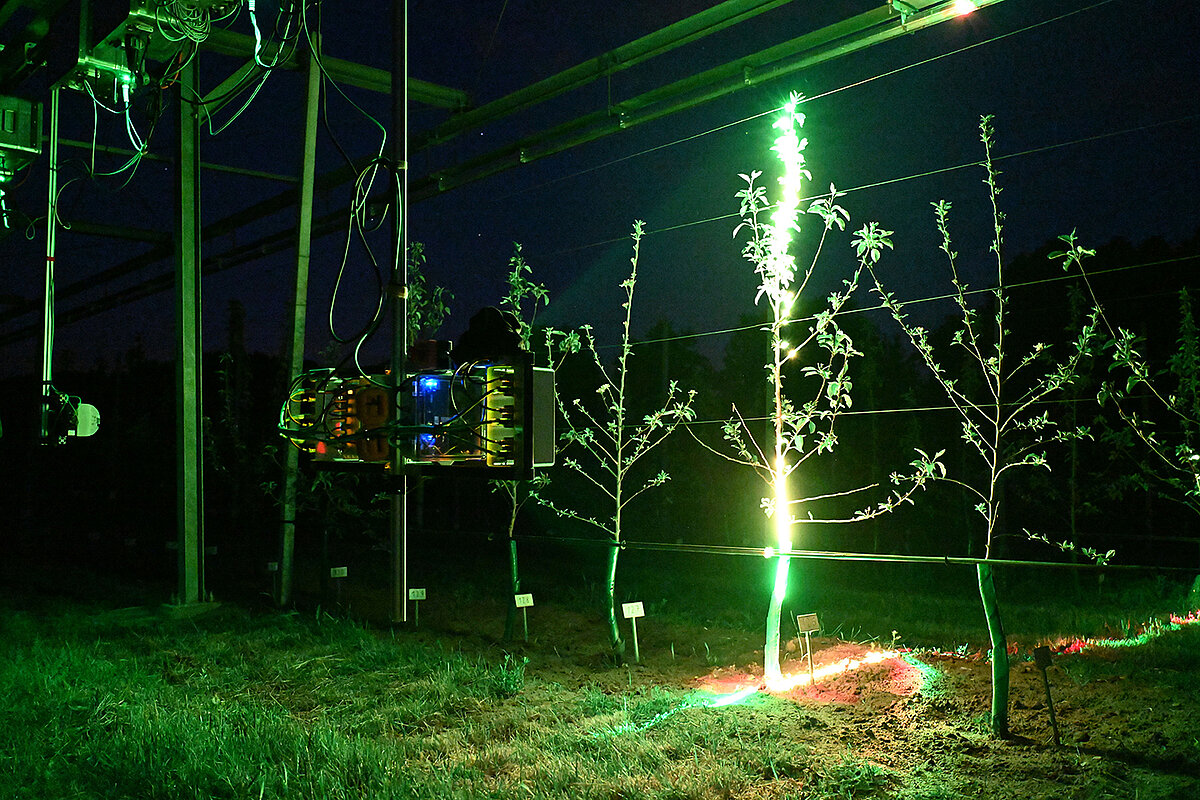 New 3D Laser Scanner Developed for Harvesting Robots