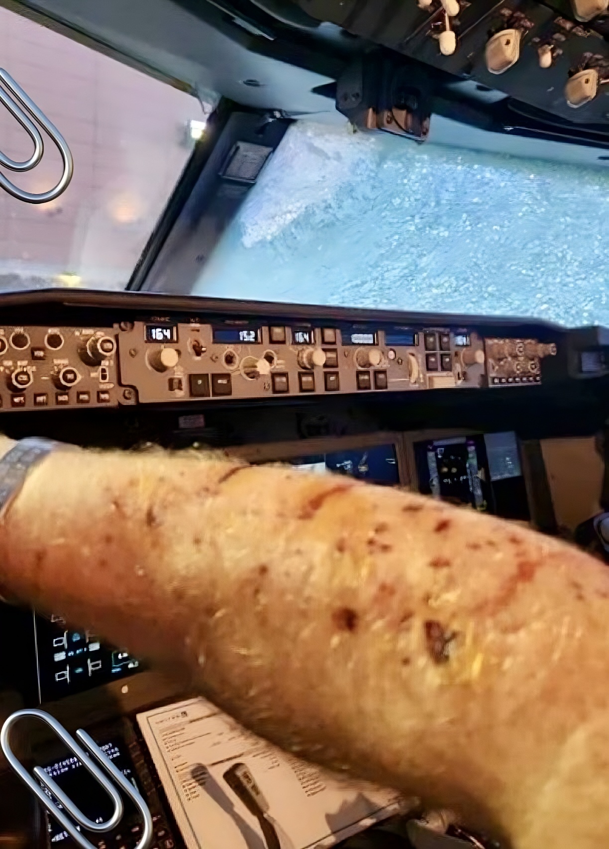 Did Space Debris Hit A United Flight Over The Rockies Thursday? Here’s What We Know So Far