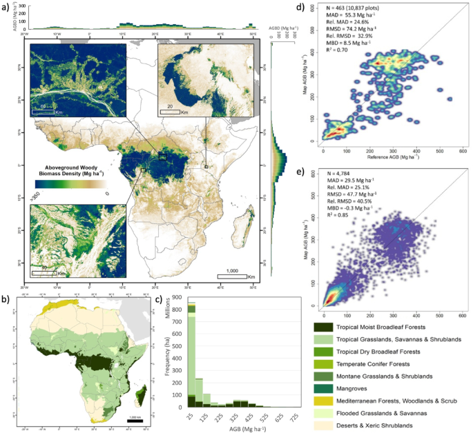 Loss of tropical moist broadleaf forest has turned Africa’s forests from a carbon sink into a source