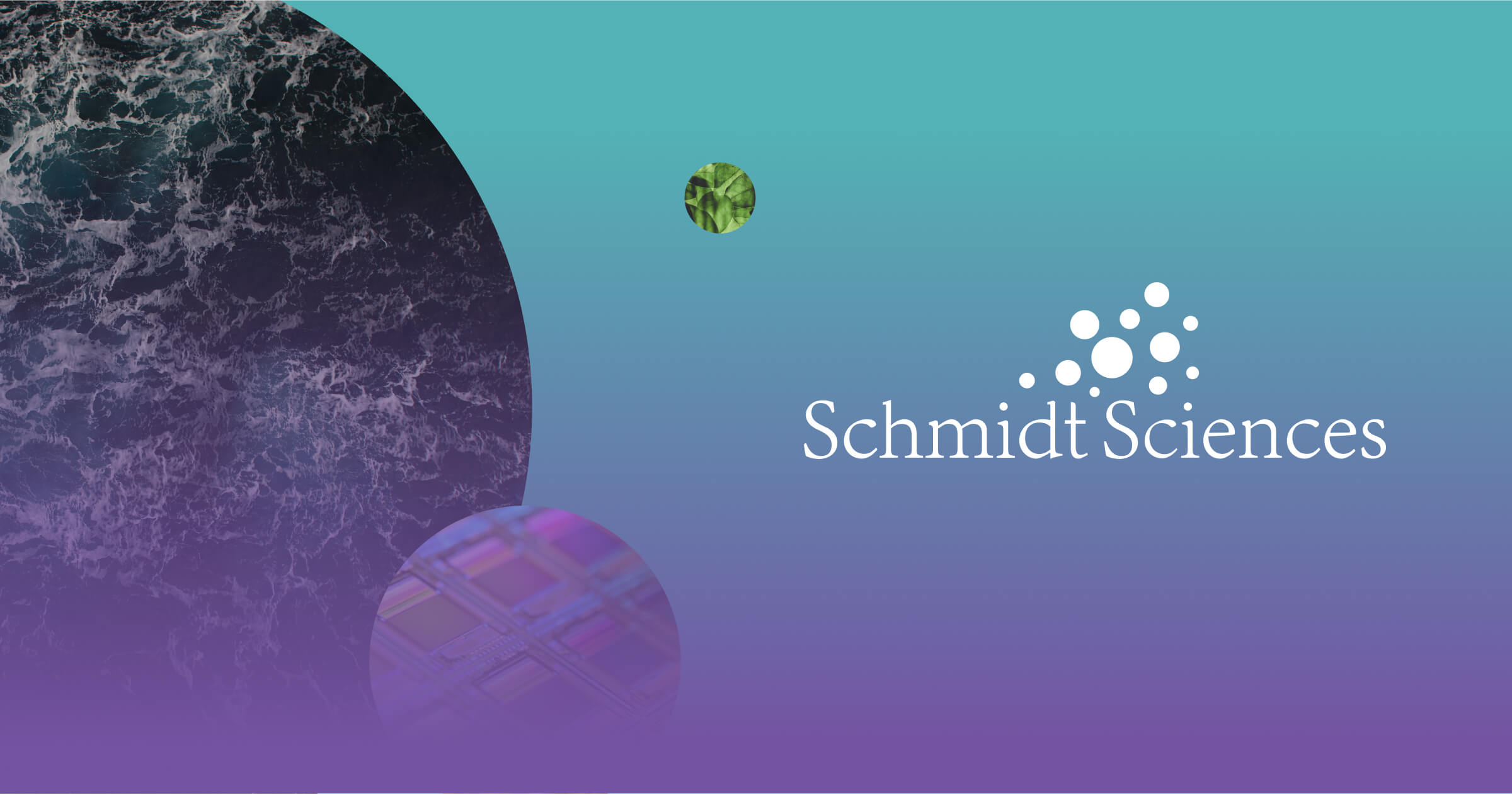 The Eric and Wendy Schmidt Observatory System - Schmidt Sciences