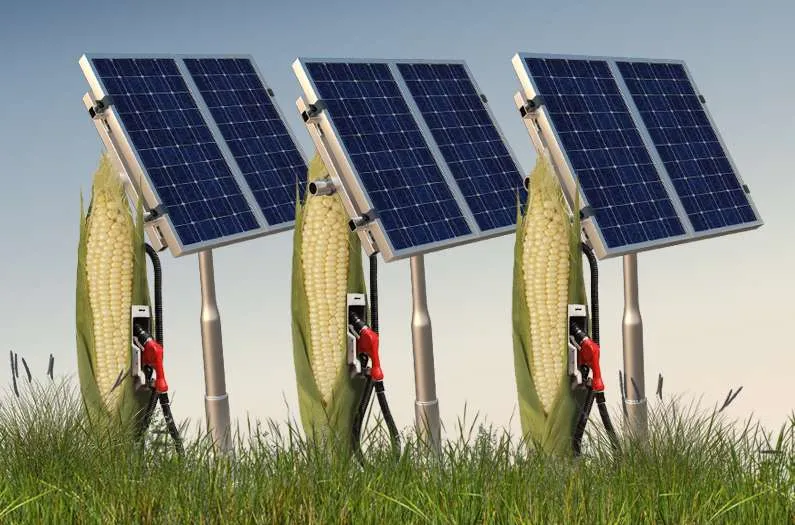 What's more efficient: Growing corn for energy or solar?