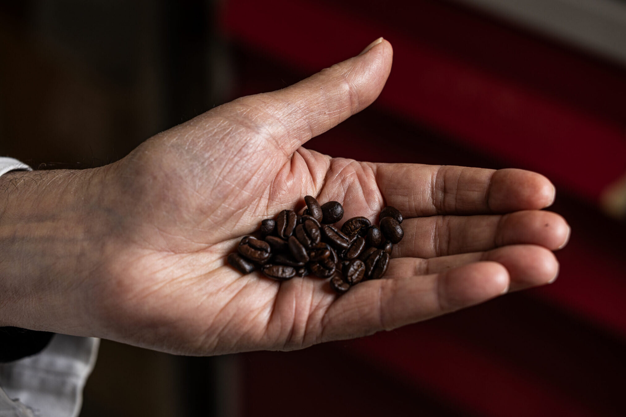 Coffee doesn't just wake you up—a key biological pathway illuminates widespread health effects