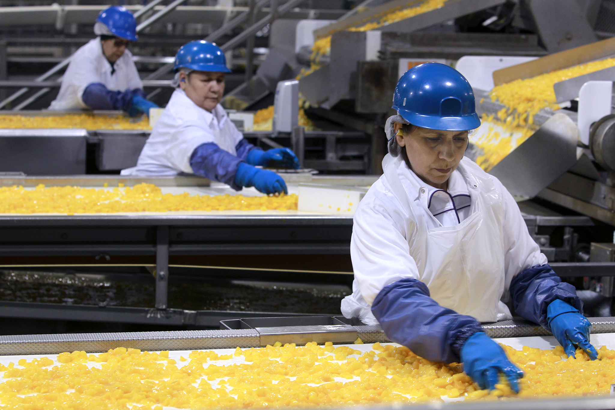 Calif. farmers to clear 420,000 peach trees after Del Monte bankruptcy