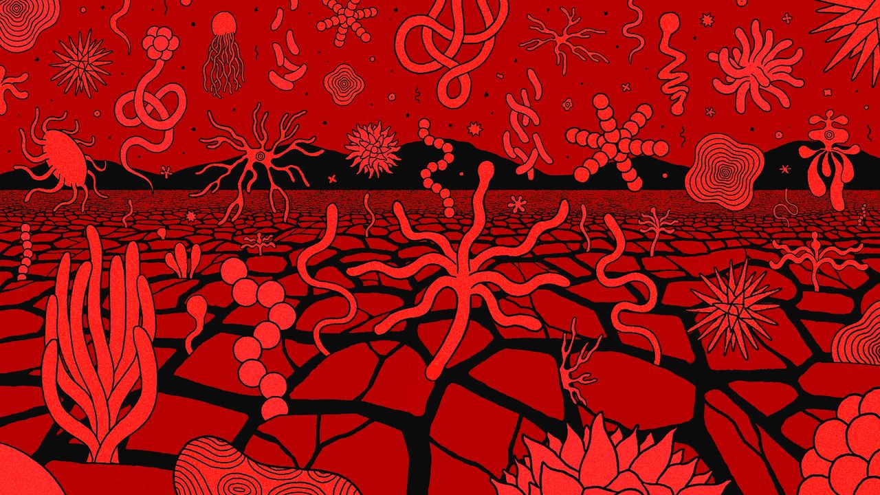 Our Warming Planet Is a Petri Dish for New and Deadly Microbes