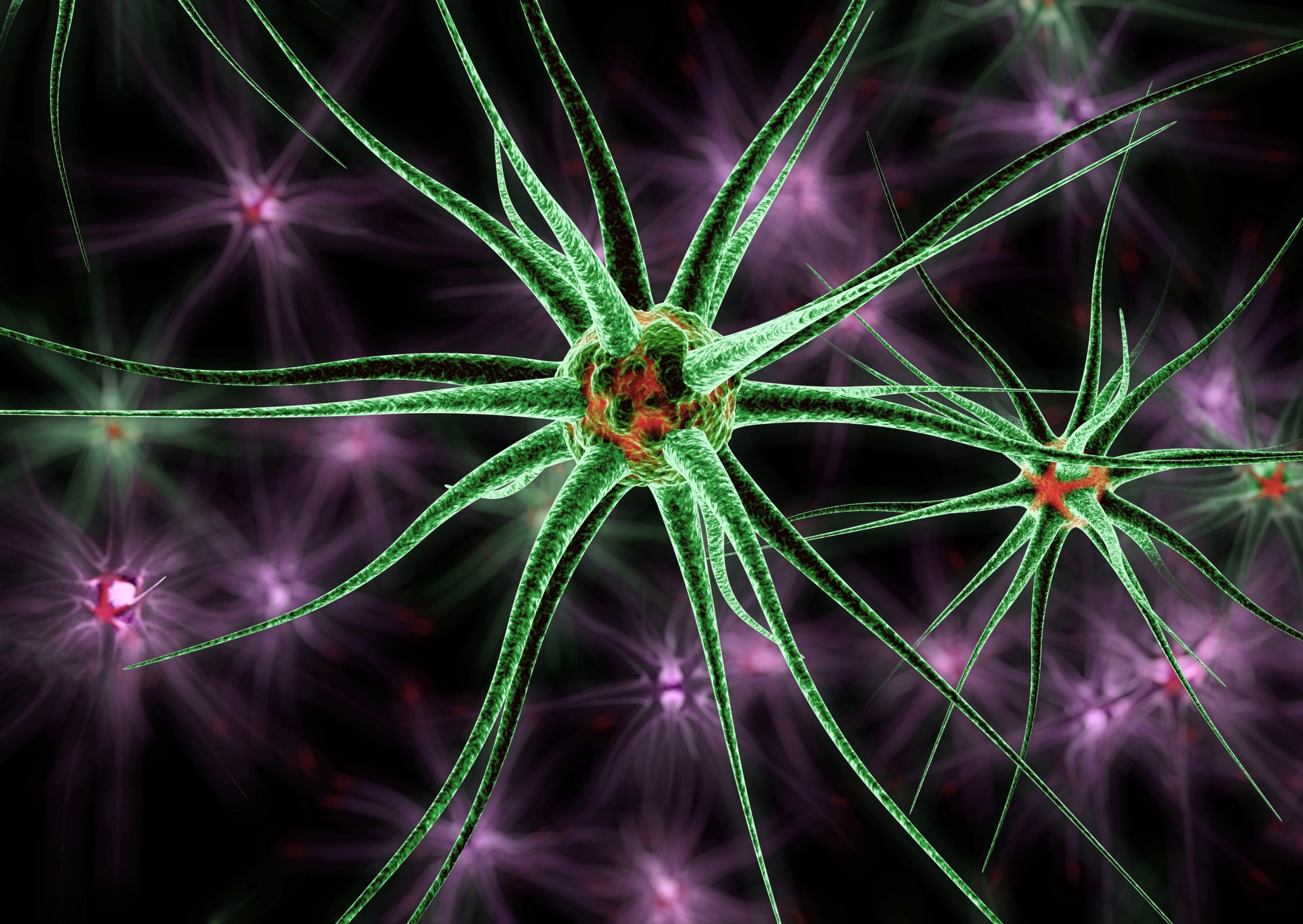 Bigger rewards dramatically speed up learning in the brain