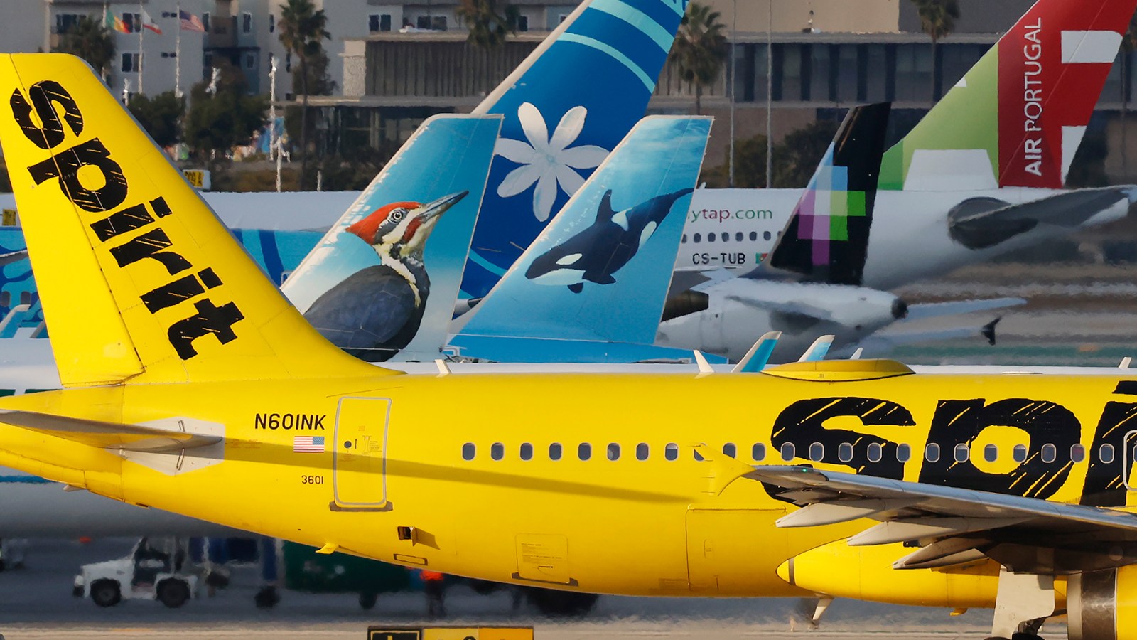 MAGA Blames Biden, Not High Fuel Prices, for Spirit Airlines Collapse