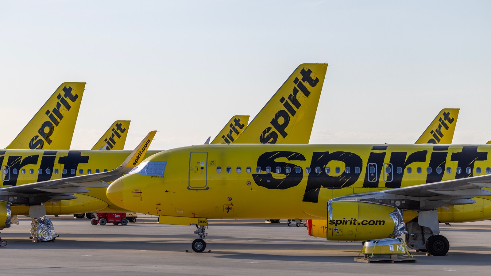 Spirit Went Under. Now a Fan Is Trying to Buy the Airline — With a Little Help from the Internet