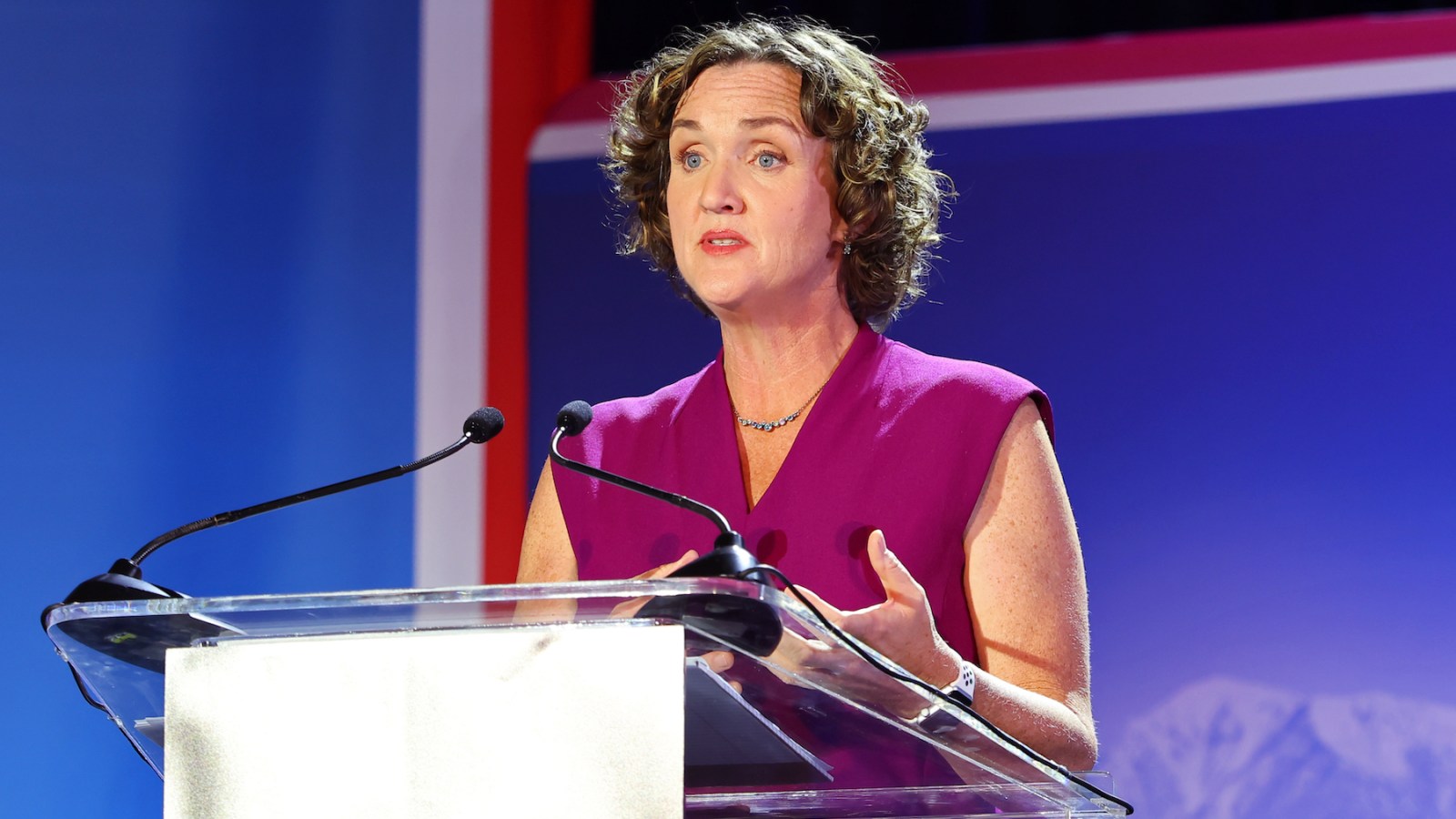 Where to Watch Tonight’s California Gubernatorial Debate Online