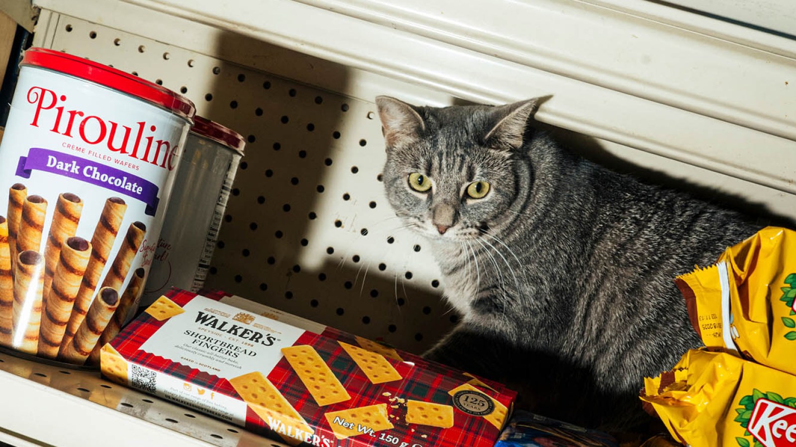 Bodegas Are the Lifeblood of Every Neighborhood in New York — And Beyond