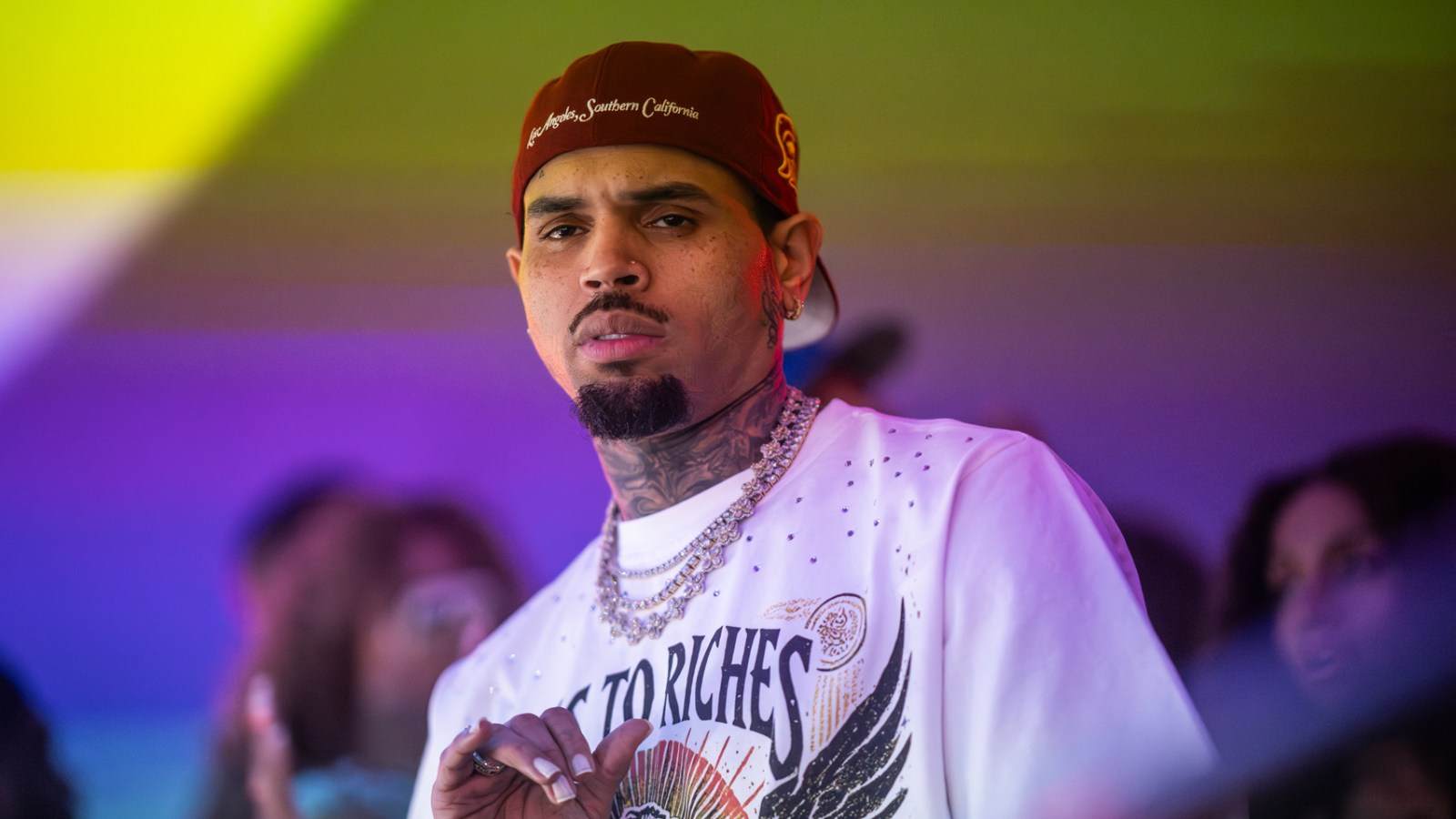 Chris Brown Dog-Mauling Trial Delayed Over Mistrial